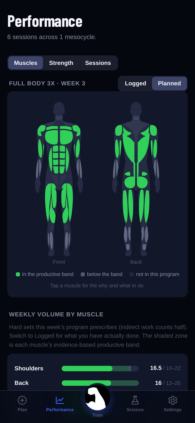 A body map with each muscle coloured by how much work it has had this week against its evidence-based band.